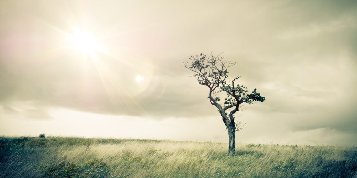 Adult bereavement counselling